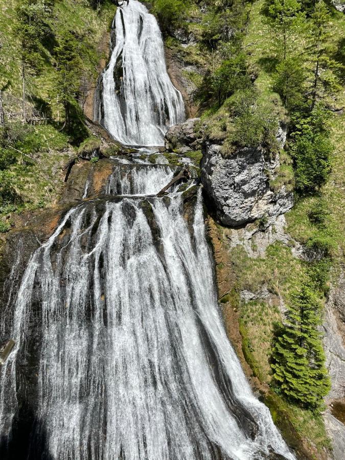 Berghaus Gesaeuse Pension Weng im Gesause المظهر الخارجي الصورة